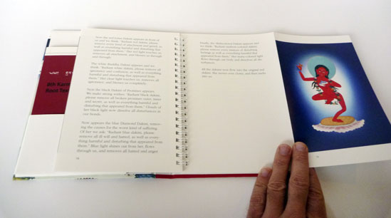 Buch Hardcover mit Ausklappseiten im Inhalt