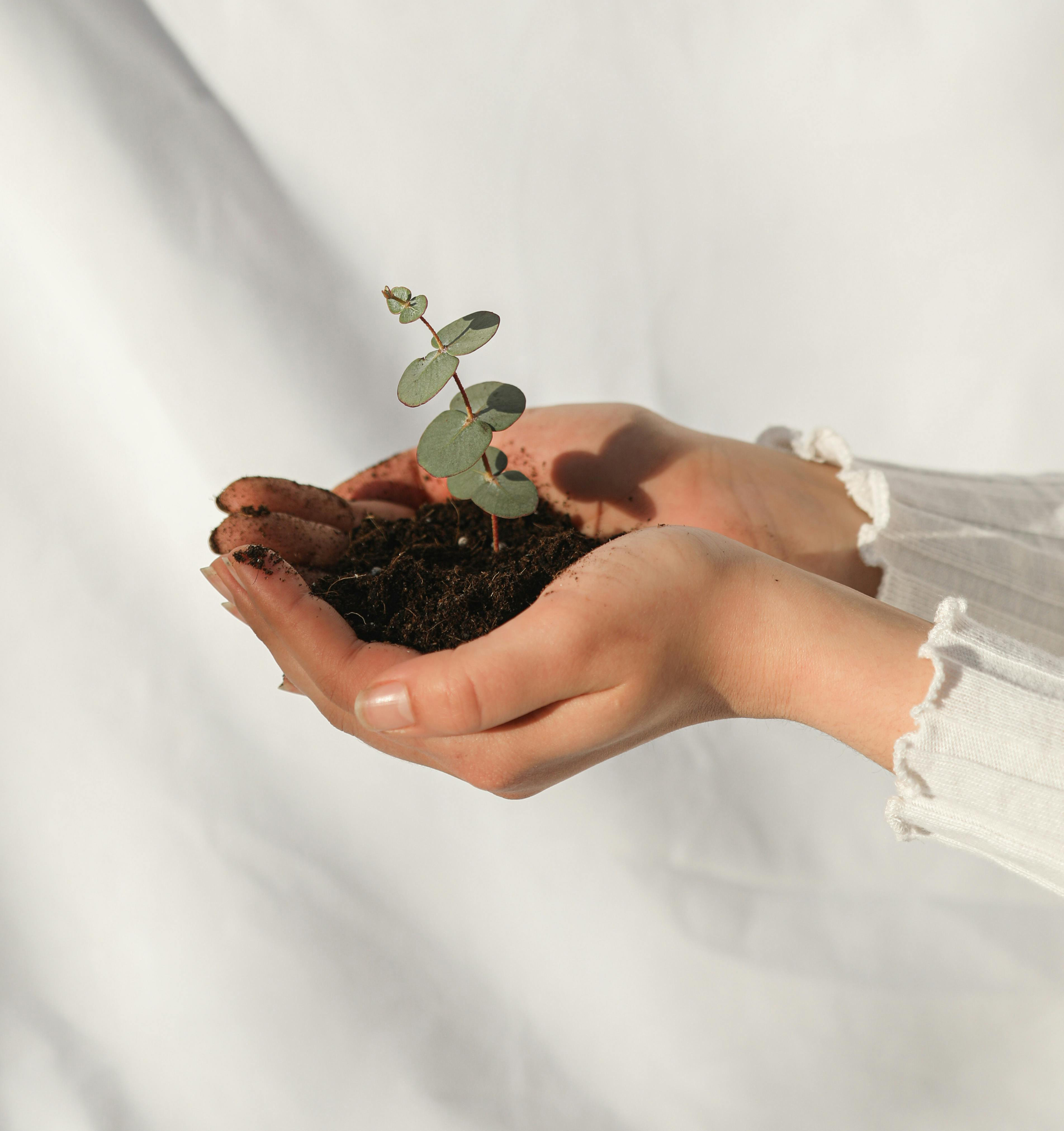 Emissionsarm und klimaschonend drucken